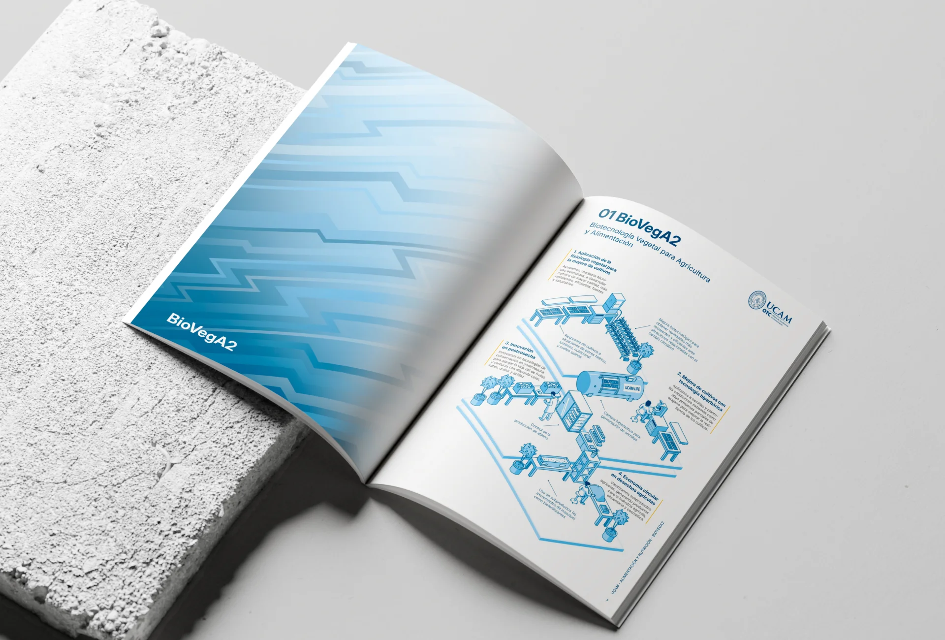 Catálogo de grupos de investigación — Diseño editorial científico por Sara Navarro — contenido 5