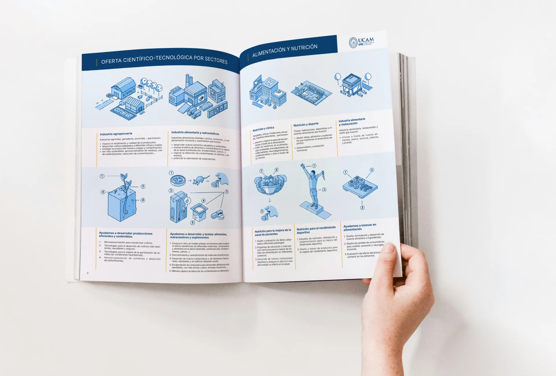 Catálogo de grupos de investigación — Diseño editorial científico por Sara Navarro — contenido 4