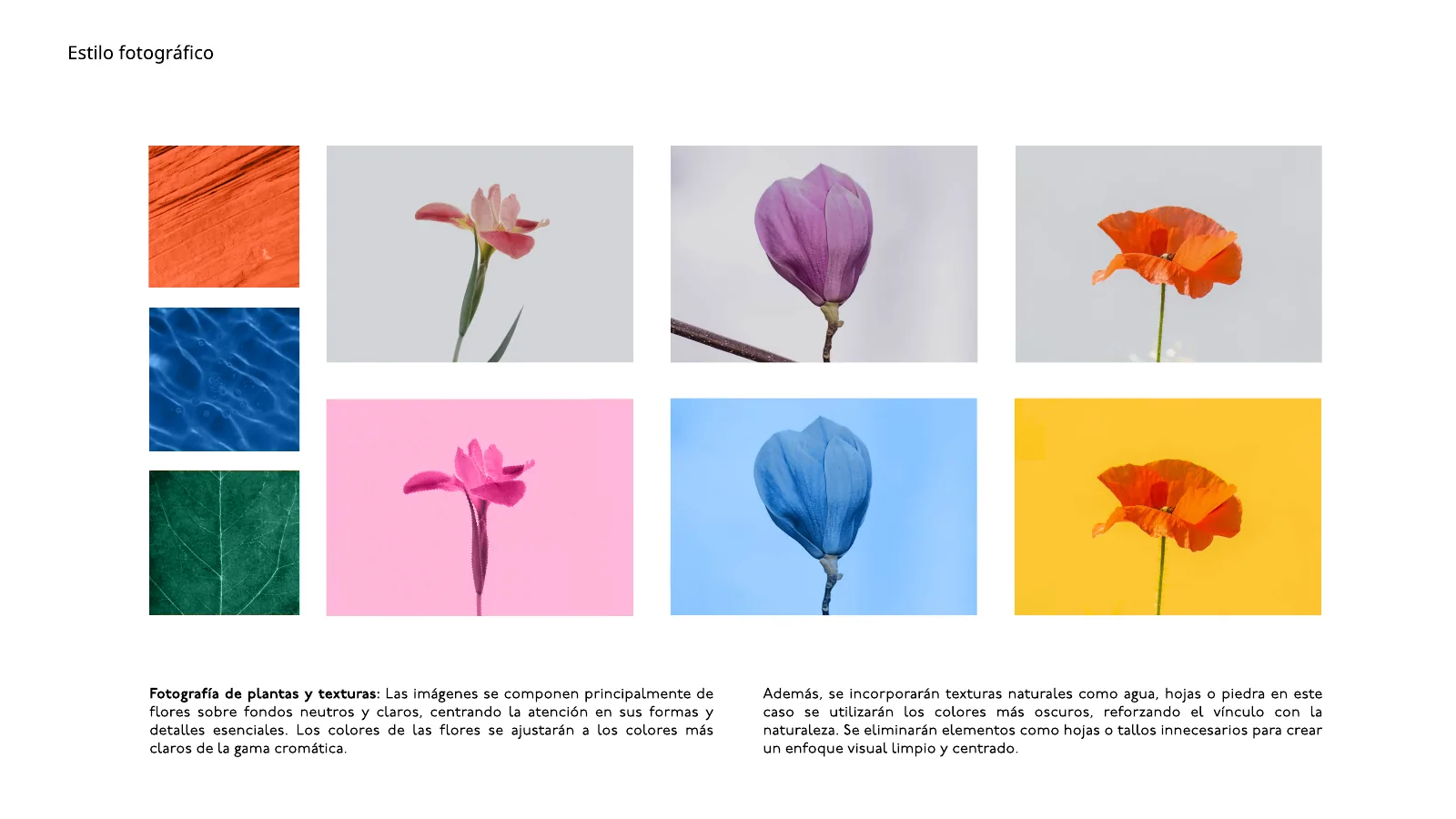 Estilo fotográfico de Floor: flores y texturas
